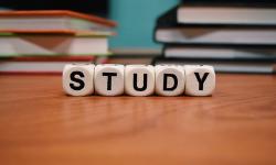 Featured image of post Tutorial